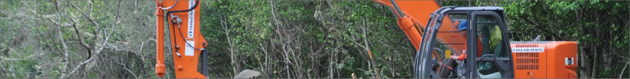 sub_image_8 image