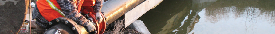 sub_image_11 image